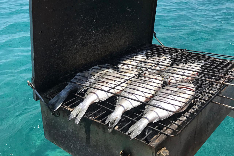 Rhodes : Excursion en bateau de pêche (petit groupe, repas et boissons inclus)Billets de bateau + transfert de Lachania, Plimmiri