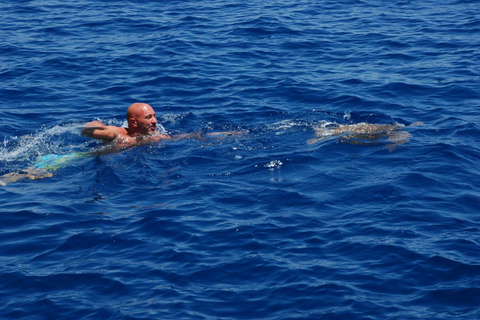 Side: Pirate Boat to Dolphin Island for Families with Kids
