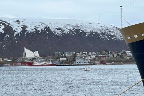 Tromsø: Discover the City & Polar Museum! Free entry! Tromsø: Guided tour of the city, including the Polar Museum!