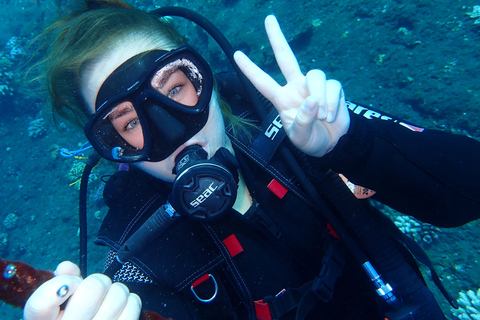 L'Etang Salé: Introduction to Scuba Diving – Pool Session + 60 Minutes at Sea. Étang Salé: Introductory Scuba Diving in a Pool + 60 Minutes at Sea