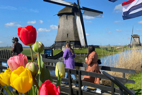 Amsterdam: Tulip Fields Day Tour with Lunch & Windmill
