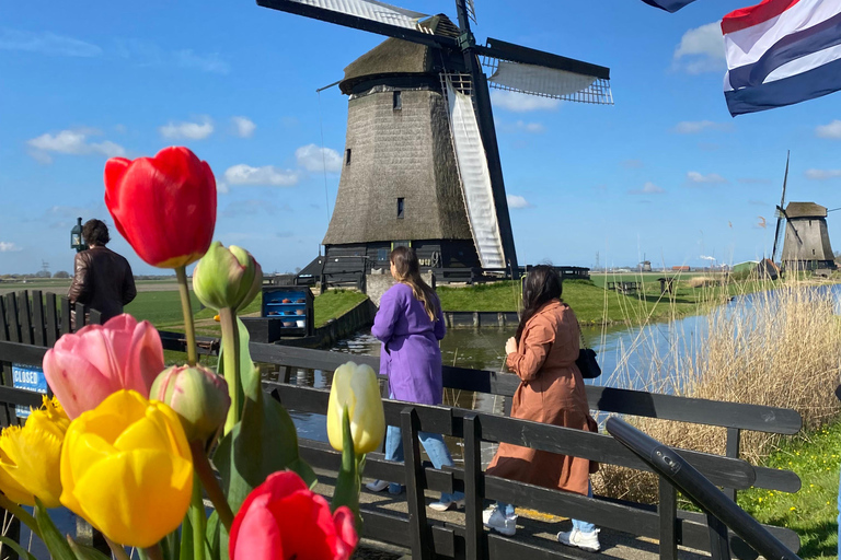 Amsterdam: Tulip Fields Day Tour with Lunch & Windmill