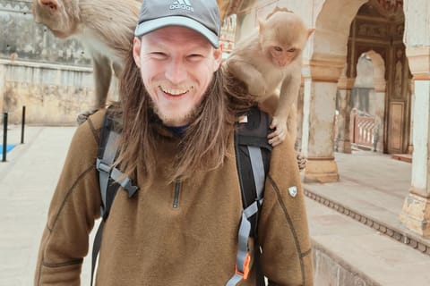Jaipur Full-Day City Tour with Monkey Temple By AC Car