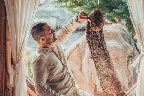 Chiang Mai: 2-Day Elephant Wake-Up & Private Bamboo House - Image 2