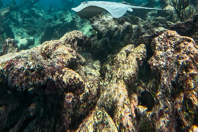 Tulum: Snorkeling at Paradise Reef