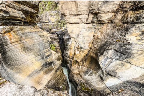 Aventura en el campo de hielo Columbia, cañón Mistaya y lago Peyto