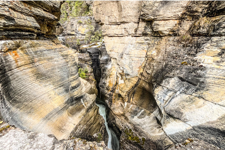 Aventura en el campo de hielo Columbia, cañón Mistaya y lago Peyto