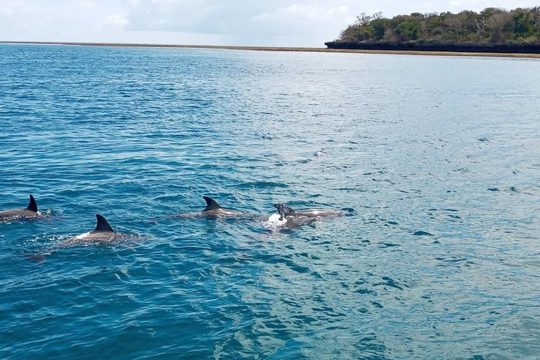 Excursión a la isla Wasini