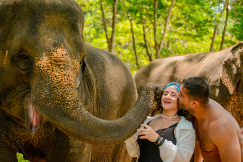 Phuket: Half‑Day Elephant Care Experience Including Lunch