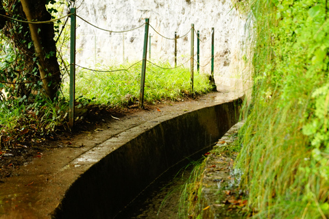From Funchal: Levada Nova Hiking Tour with stopover at beach Nova friday