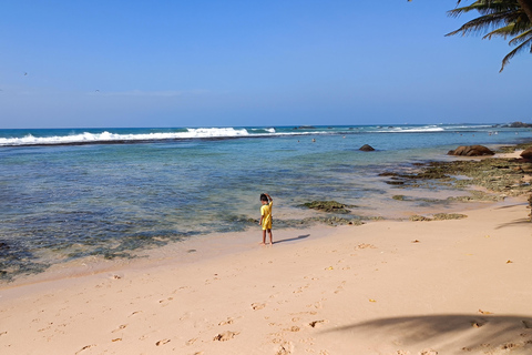 Galle snorkling experience with Turtles and marine life
