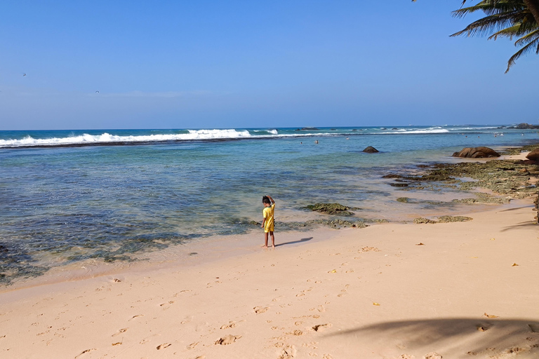 Galle snorkling experience with Turtles and marine life
