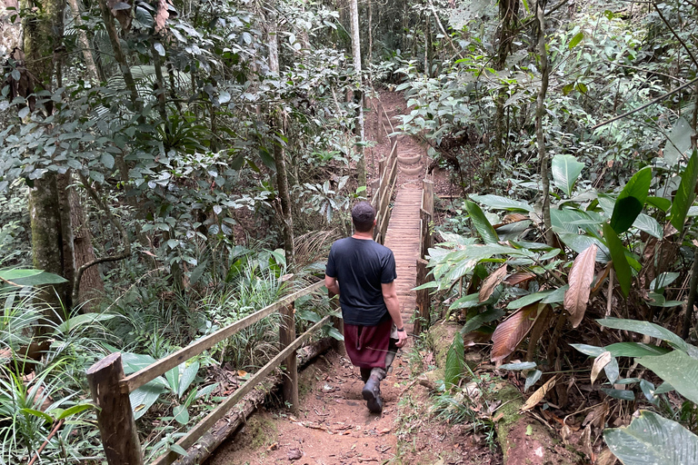 San Paolo: Escursione nella foresta atlantica con un biologoSan Paolo: Escursione di un giorno nella foresta atlantica con un biologo