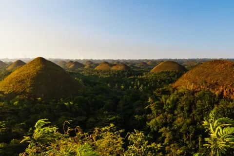Bohol: Countryside Tour with Tarsiers and Chocolate Hills
