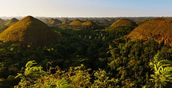 Bohol: Countryside Tour with Tarsiers and Chocolate Hills