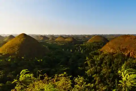 Bohol: Countryside Tour with Tarsiers and Chocolate Hills