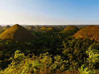 Bohol: Countryside Tour with Tarsiers and Chocolate Hills