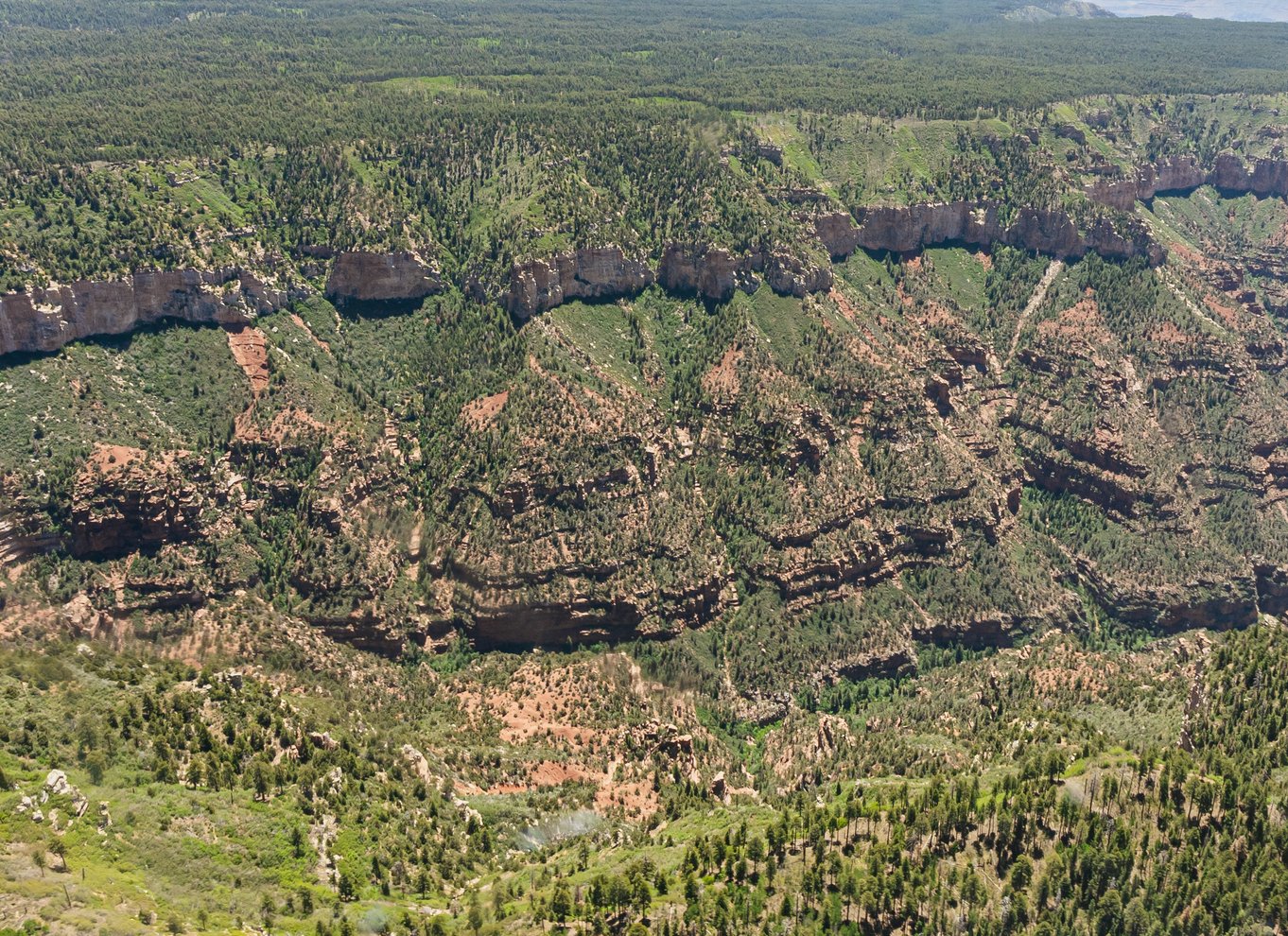 Grand Canyon Village: Grand Canyon South Rim Airplane Tour