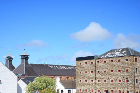 From Belfast: Giant's Causeway & Bushmills Private Day Trip