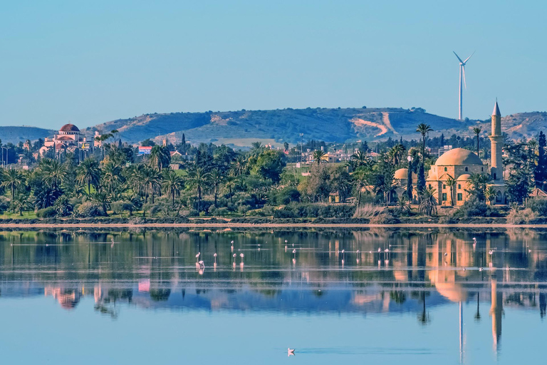 Larnaca: Private Guided Walking Tour with Museum Entry