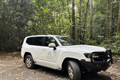 Cairns: Half-Day Premium 4WD Rainforest & Waterfall Tour Half Day Tour