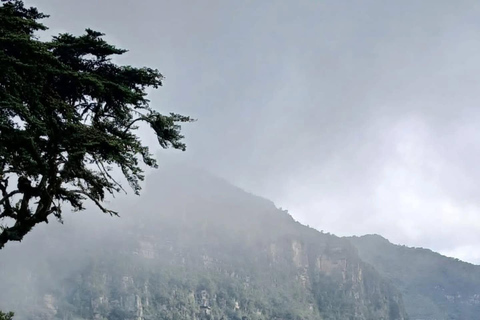 Hike through the Cloud Forest in Choachi, from Bogota