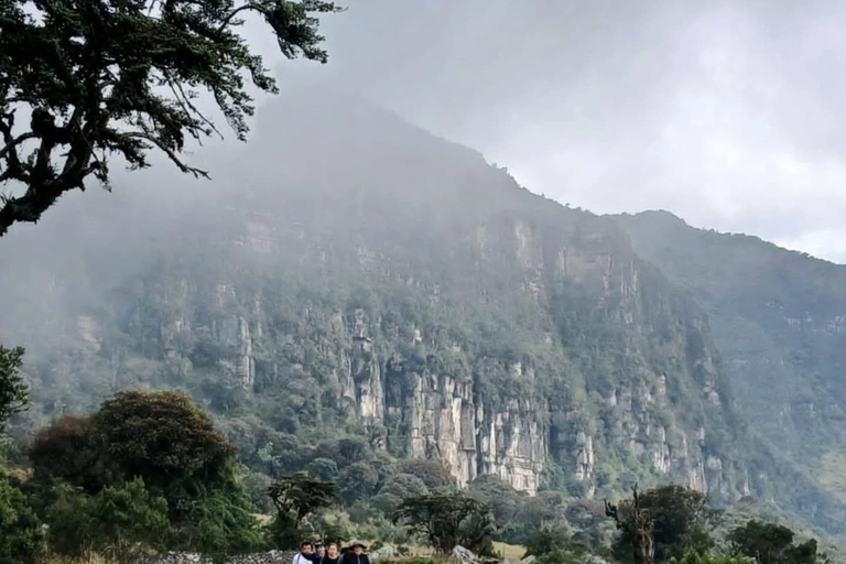 Hike through the Cloud Forest in Choachi, from Bogota