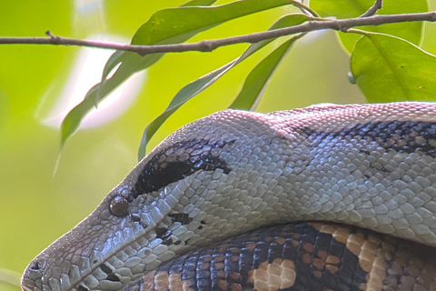 Parc Manuel Antonio : Visite guidée à pied avec un naturalisteVisite privée