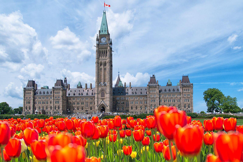 Au départ de Montréal : Visite privée d&#039;une jounée à Ottawa