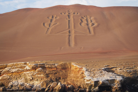 Desde Lima: Paracas, Islas Ballestas y Líneas de Nazca Día ...