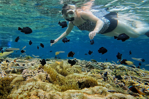 Pacote turístico de um dia para Gili Trawangan Lombok