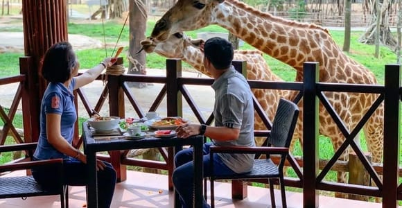 Phu Quoc: Safari & VinWonders Combo with Private Transfer