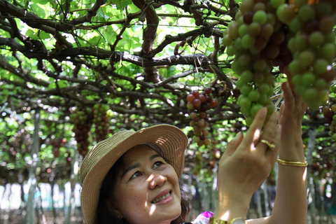 Ninh Thuan: Vinh Hy Bay and Craft Village 3-day Tour