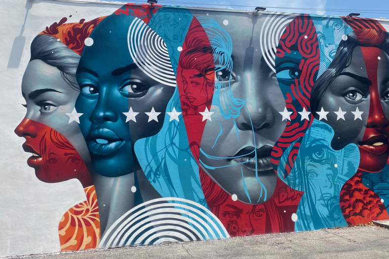 Miami Sightseeing Cruise & City Tour plus water Shuttle South Beach Start at 11:30am