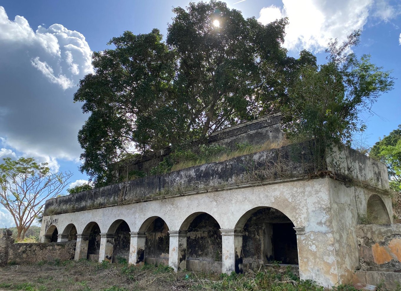 Kom med på tur i naturen, til gamle haciendager og til arkæologiske steder i Campeche!!!