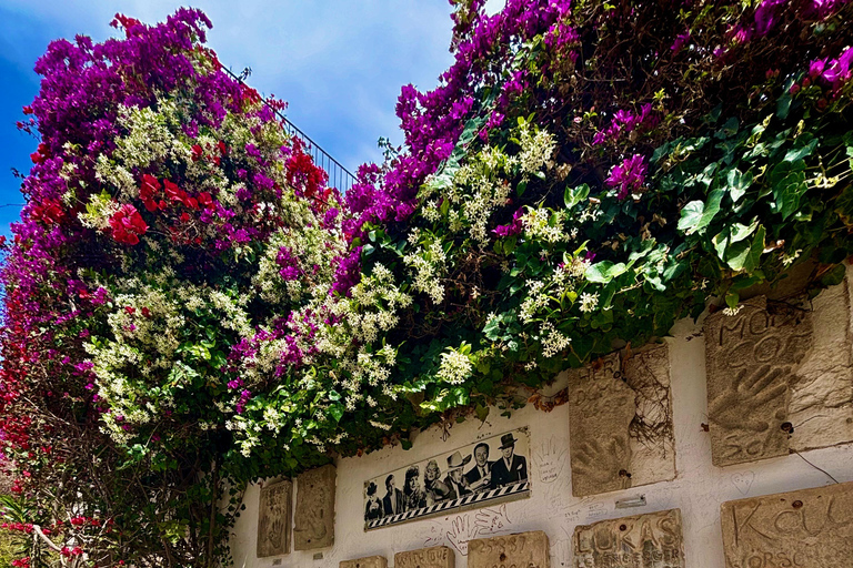 History and Relax in Ibiza: Dalt Vila, Cala Bassa and Can Soleil