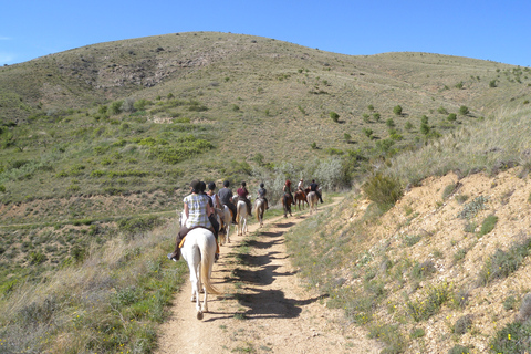 Agadir Horse Riding visite the flamingo river with tea drink