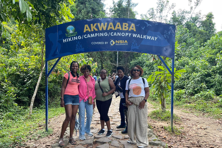 The Return of the Diaspora