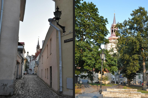 Individual excursion in Tallinn