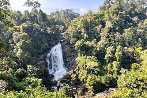 Cochin - Munnar Day Trip with Waterfalls and Tea Museum