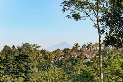 Bici con terrazze di riso e pranzo: tour da Ubud