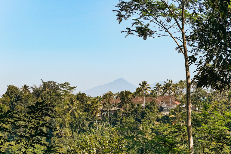 From Ubud: Downhill Bike Tour with Rice Terraces and Meal