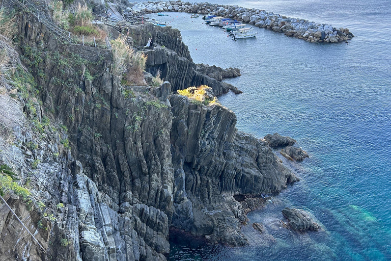 Ekskluzywna całodniowa wycieczka promem do Cinque Terre z przystankiem w Pizie