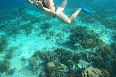 Gili Trawangan : Prywatna wycieczka Snorkeling o wschodzie i zachodzie słońca