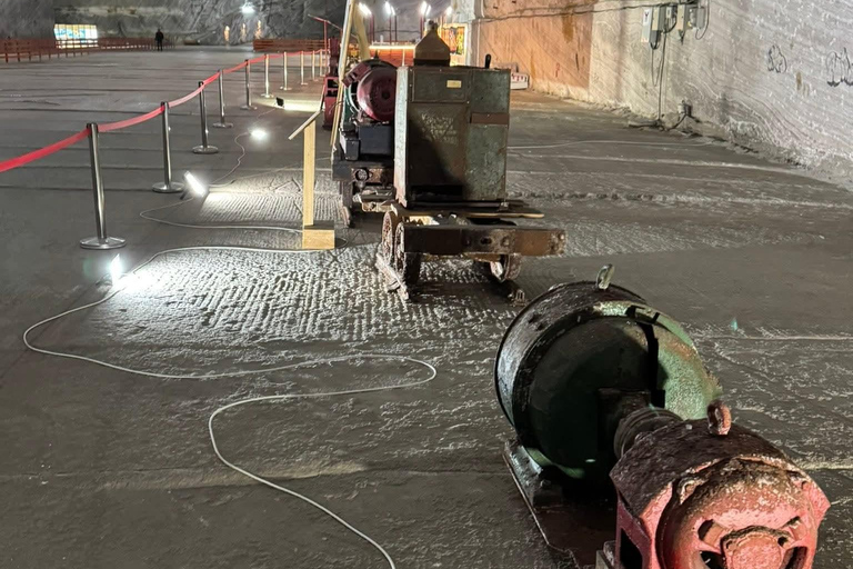 From Brașov: Slanic Salt Mine and Peles Castle Tour
