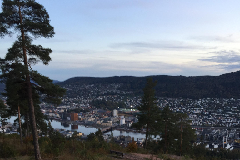 南挪威海岸之旅：峡湾、堡垒和世界尽头挪威南部海岸之旅：峡湾、堡垒和世界尽头