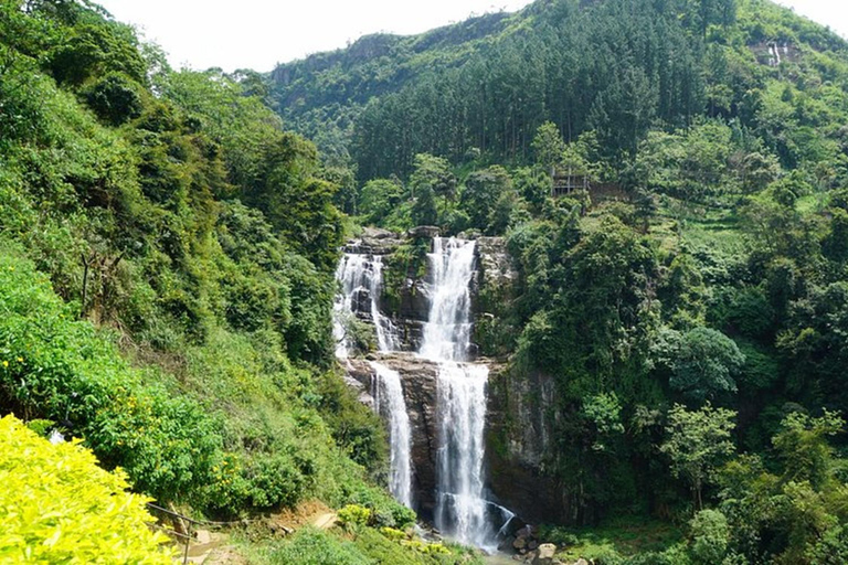 Kandy to Ella Transfer With Lakes, Falls & Botanical Garden