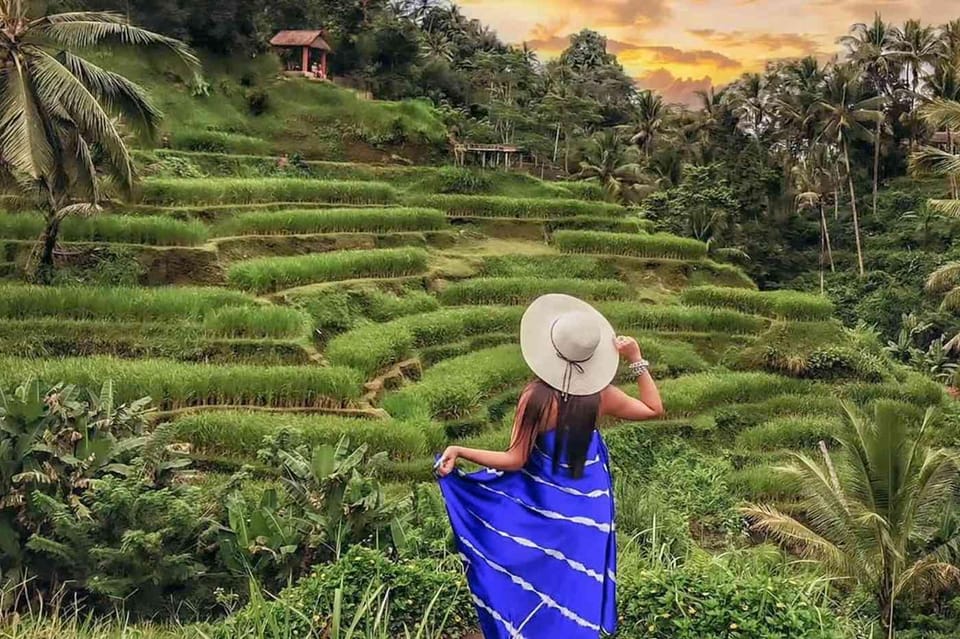 Ubud Excursión al Bosque de los Monos la Cascada y la Terraza de