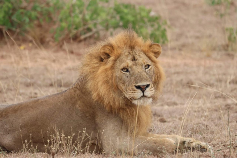 Uganda: 5-Day Safari with Queen Elizabeth & Lake Mburo