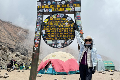 8 Days Kilimanjaro Trekking Adventure, Lemosho Route for all